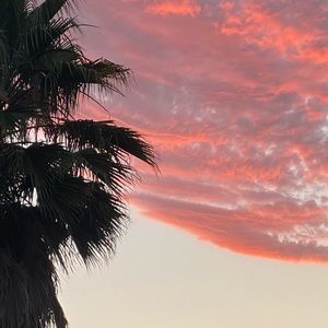 Meet your Posher, Jamila